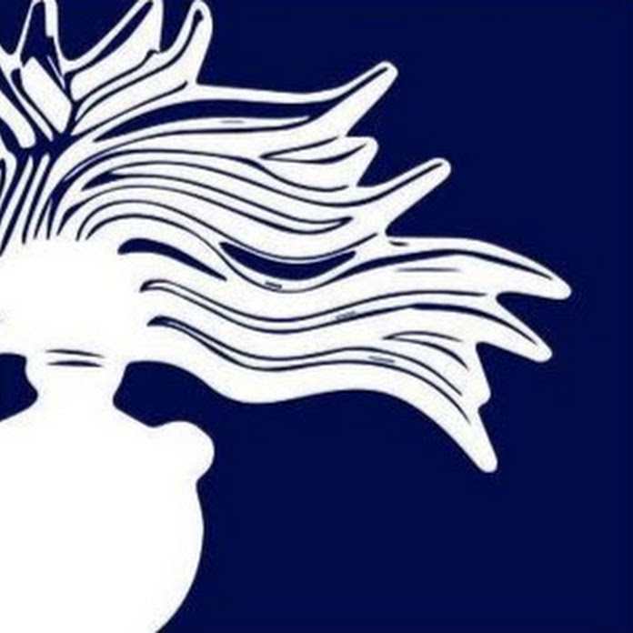 Arma dei Carabinieri Net Worth & Earnings (2026)