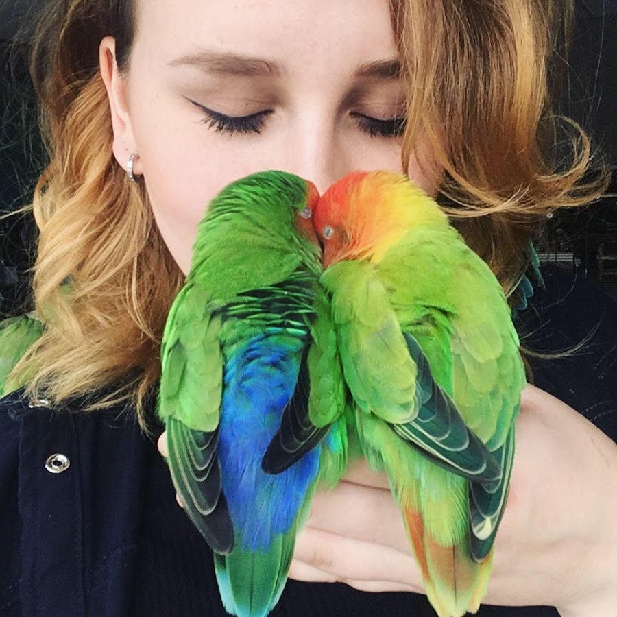 Lovebird adventures 