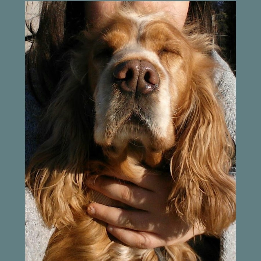 ellie asdfghj YouTube