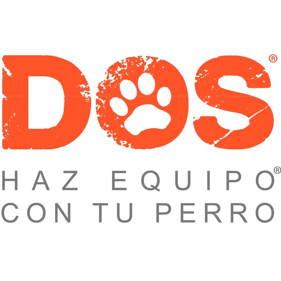 Дос тренинг. Cool School.