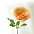 ws lee
