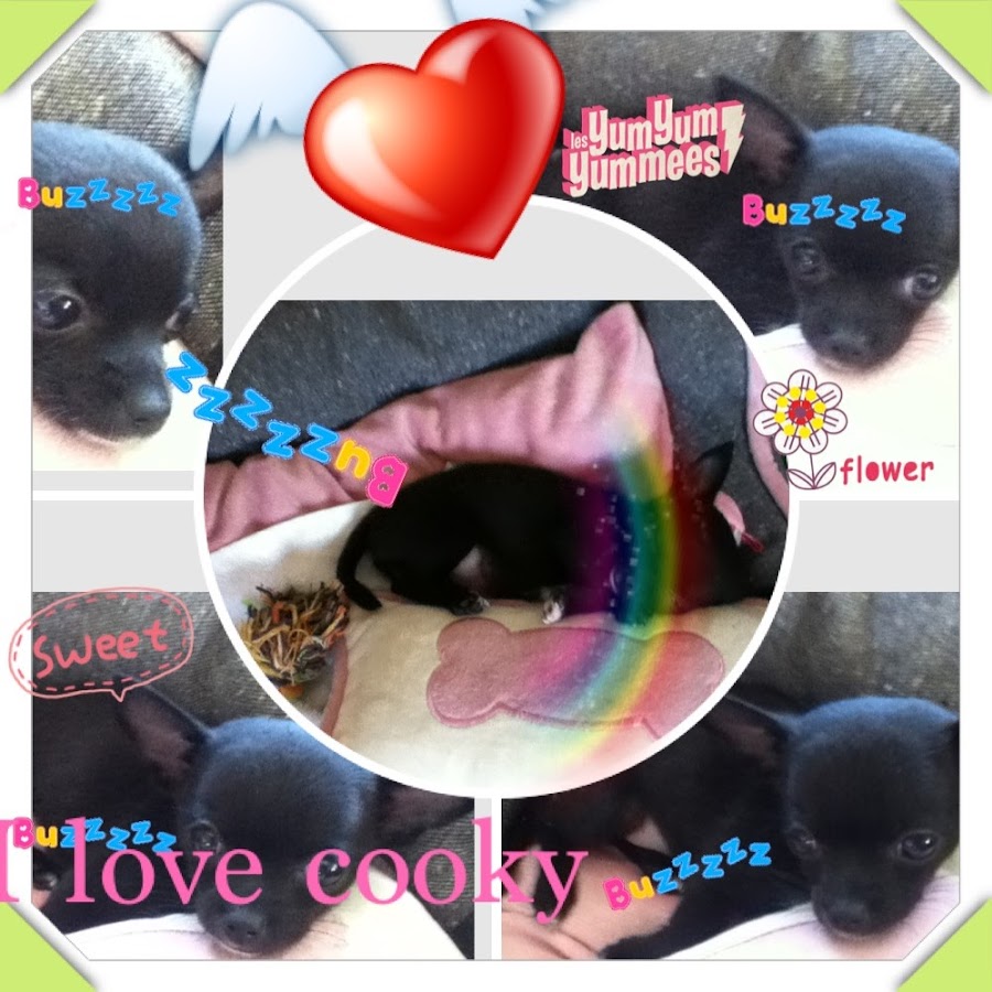 Puppy Lovers - YouTube