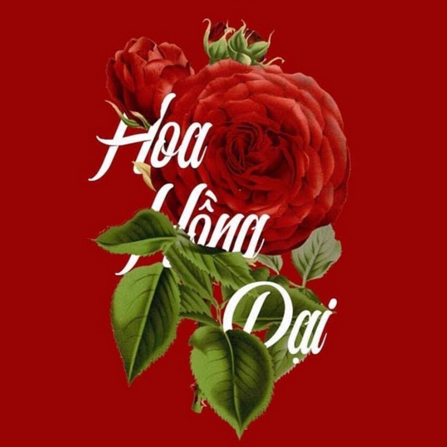 hoa-h-ng-d-i-music-youtube