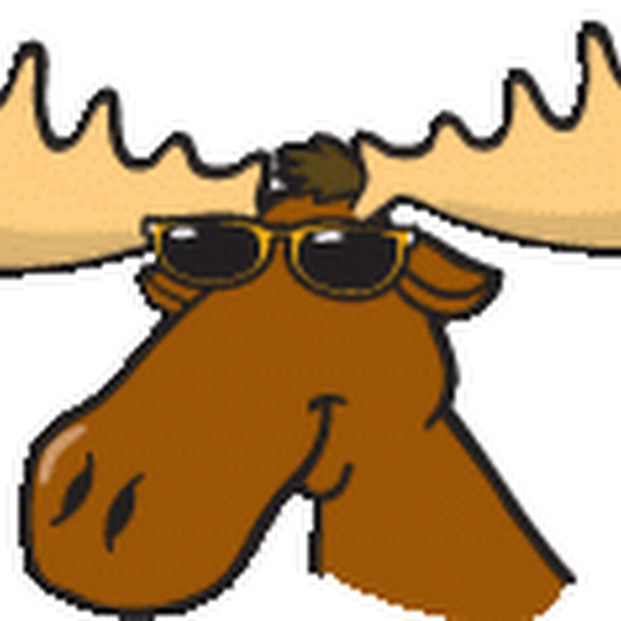 moose - YouTube