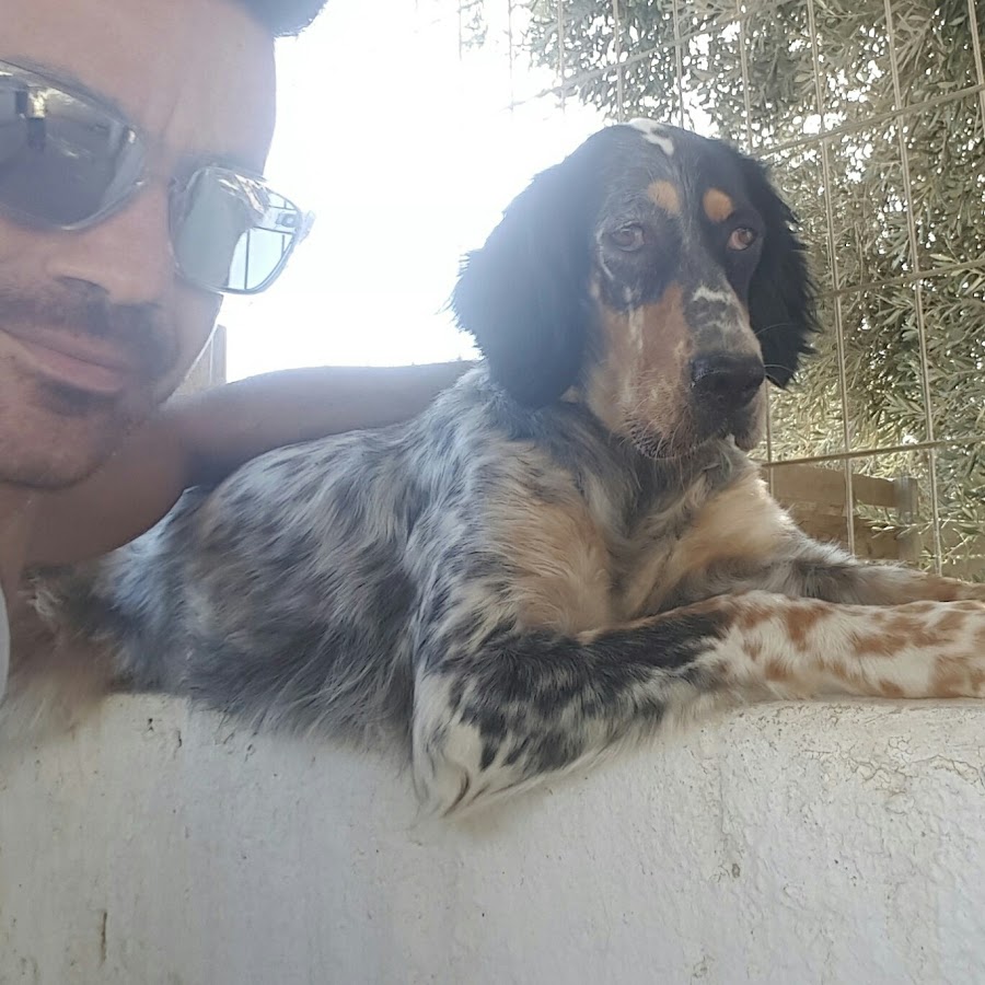 nikos _____ 