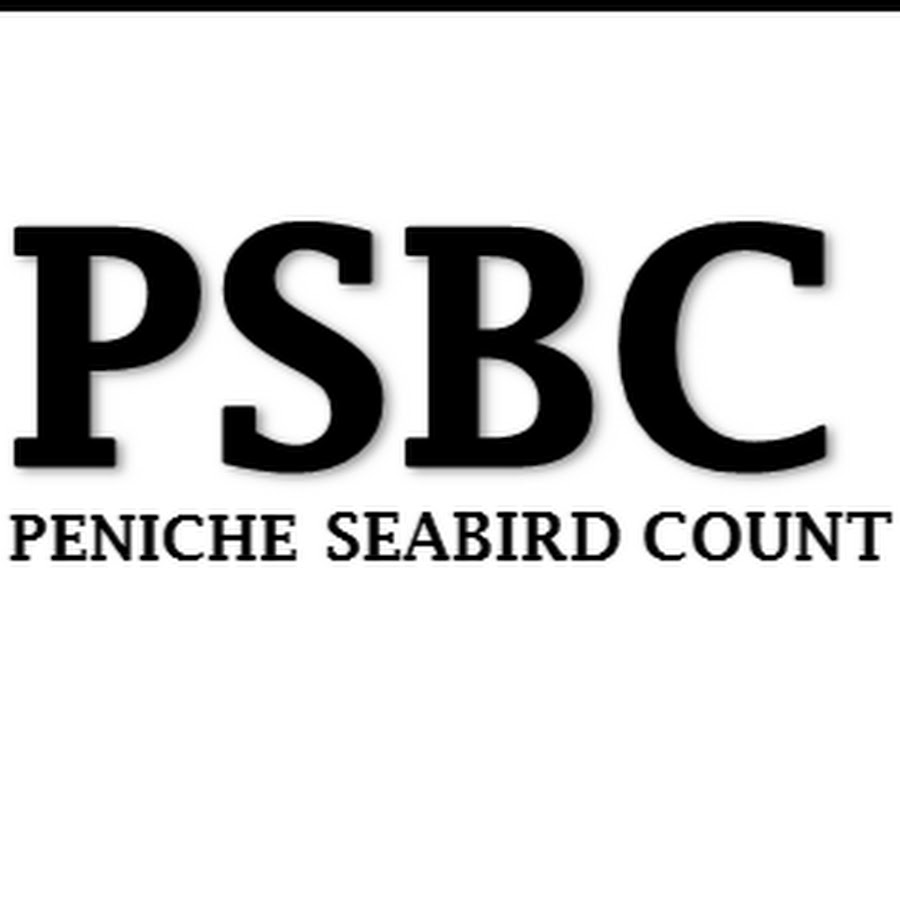 Peniche Seabird Count 