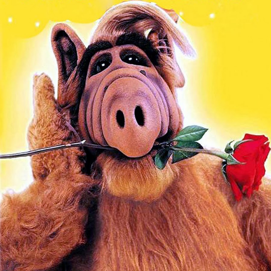 ава альф. ава альф. ава альф. ава альф. альф с планеты мелмак.