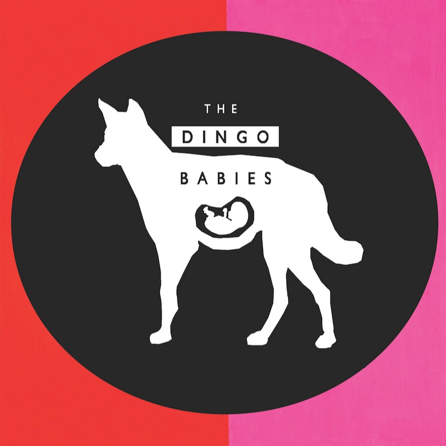 The Dingo Babies YouTube