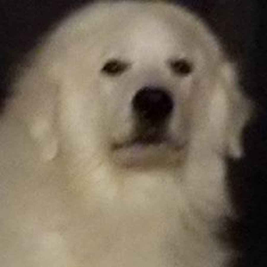 Burrito Sanchez - YouTube