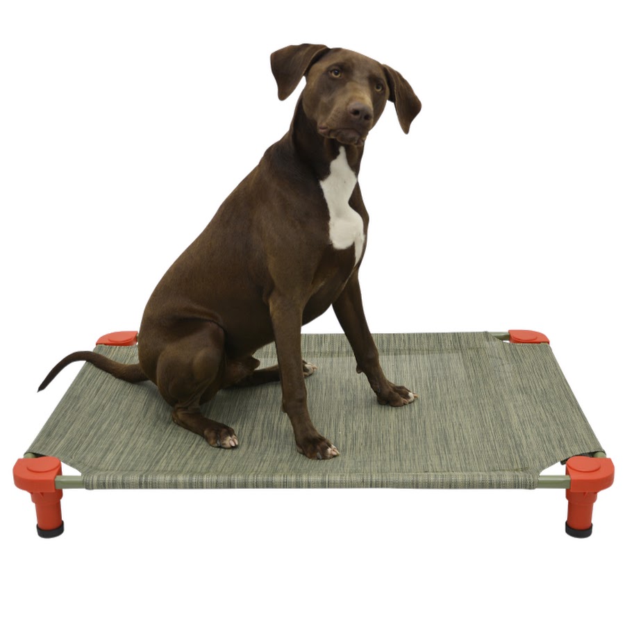 4Legs4Pets pet cots YouTube