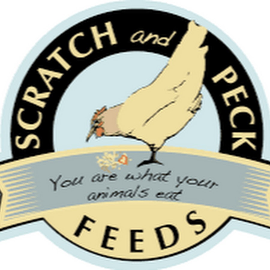 feed4u