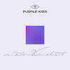What could PURPLE KISS buy with $100 thousand?