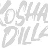 kosha dillz