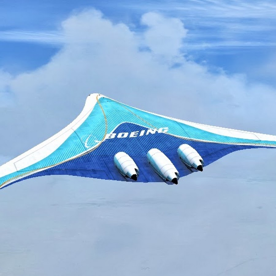 Несущие поверхности самолета. Пассажирские самолеты будущего. Самодельное мини fpv крыло. Крыло самолета предназначено для. Сегменты насекомых.