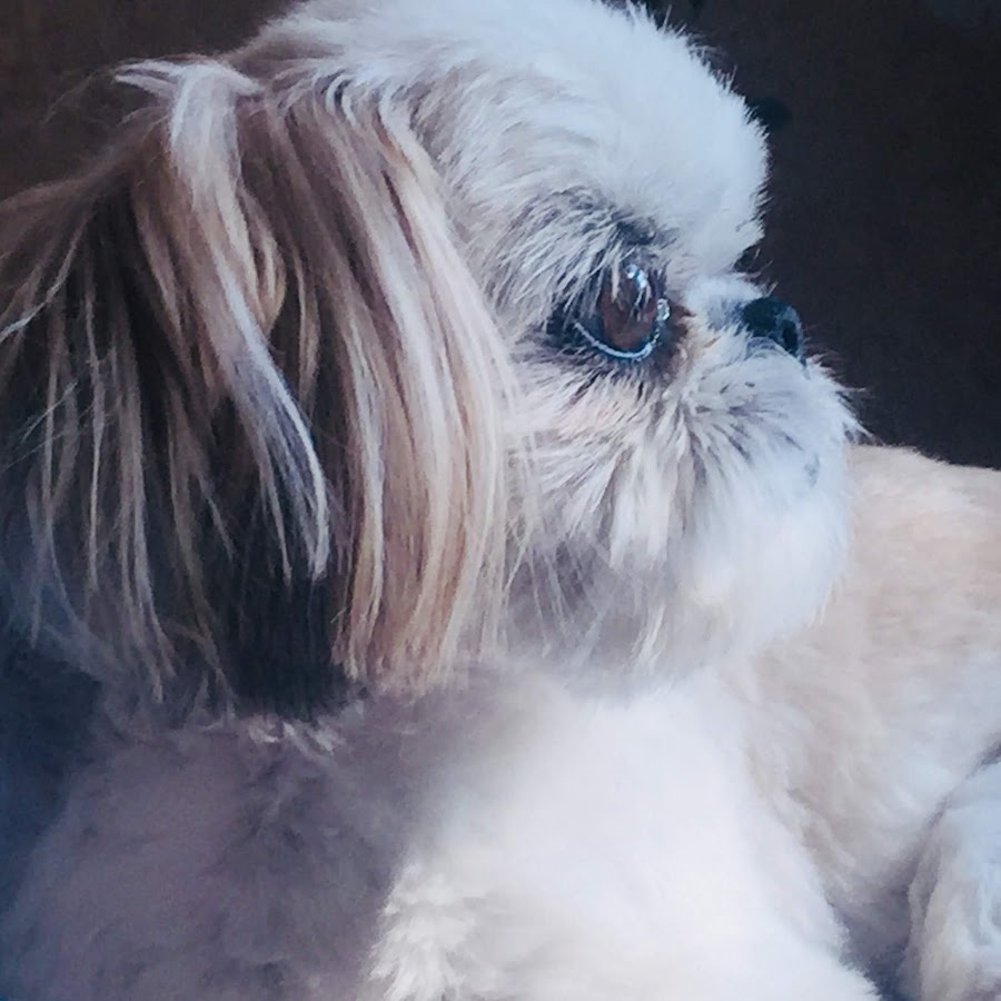 Diamond Seeker05 - YouTube