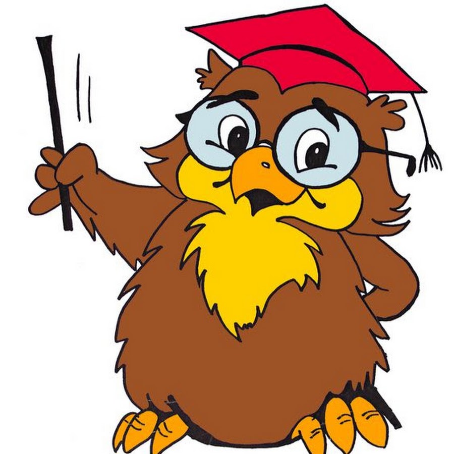 Мудрая сова картинки прикольные