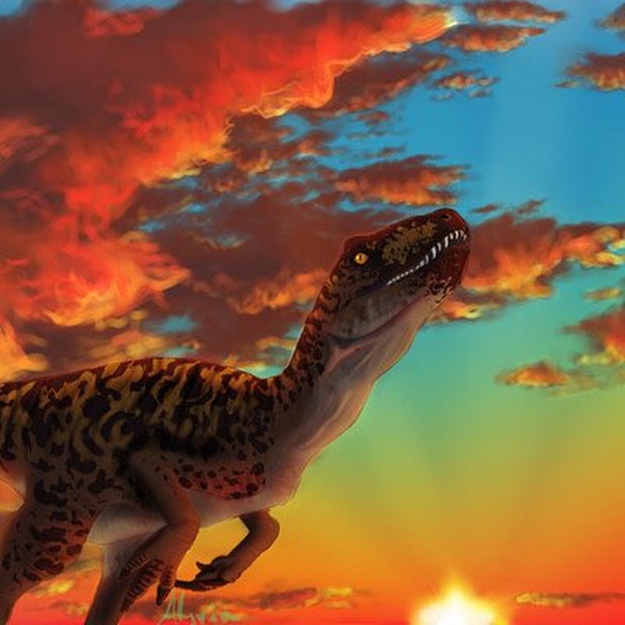 crystalshardzz - YouTube