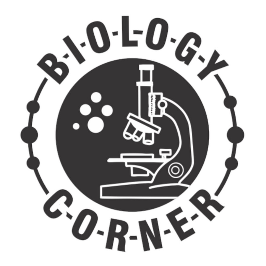 Biology Corner YouTube