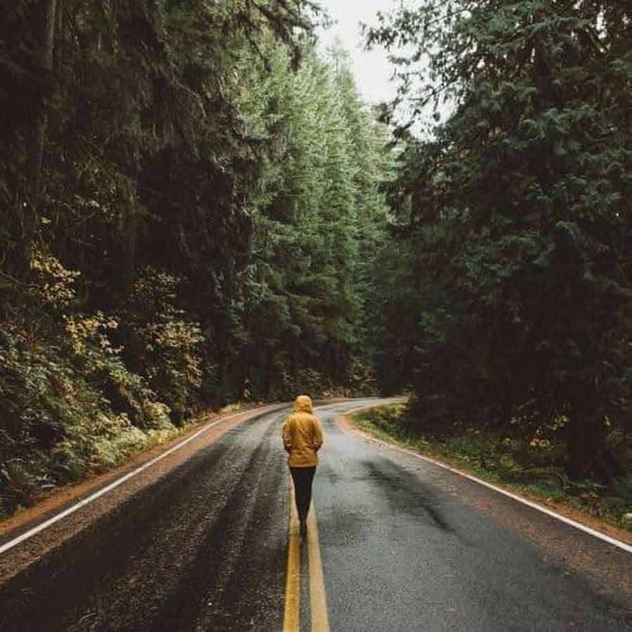 Garden Buffs - YouTube