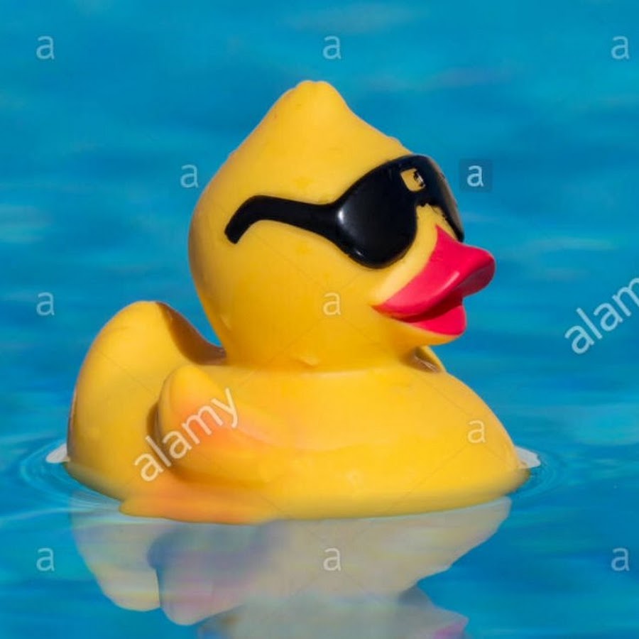 rubber duckie floating mat