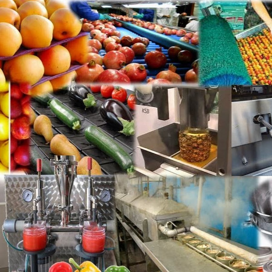 Tecnología de frutas y hortalizas. PE. Ingeniería Agroindustrial - YouTube