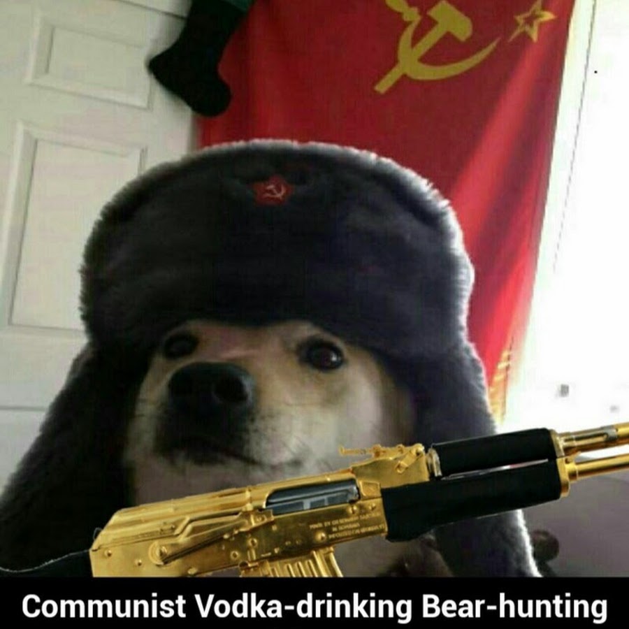 Собака в шапке ушанке мем