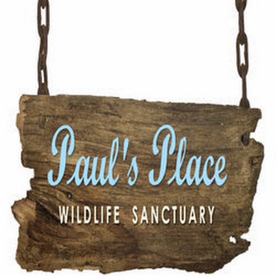 Paul's Place YouTube