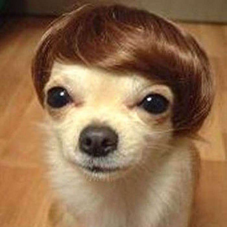 yeet - YouTube - 900 x 900 jpeg 102kB