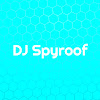 What could DJ Spyroof buy with $121 thousand?
