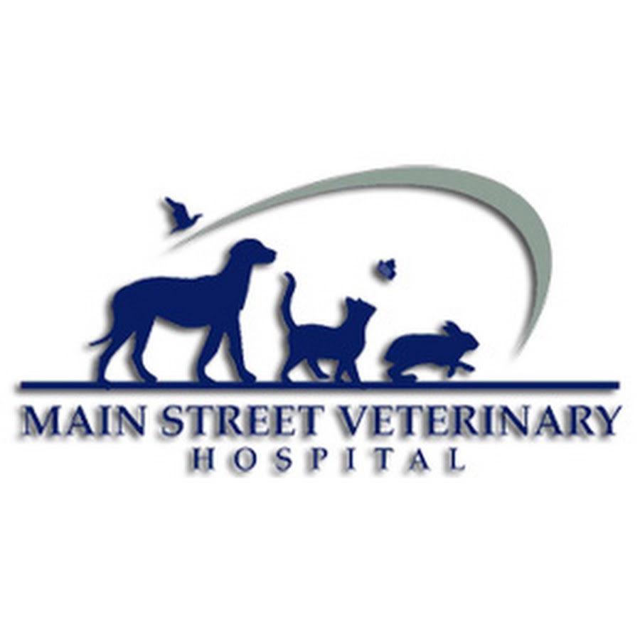 Main Street Veterinary Hospital YouTube
