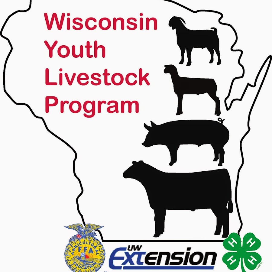 Wisconsin Youth Livestock Program YouTube