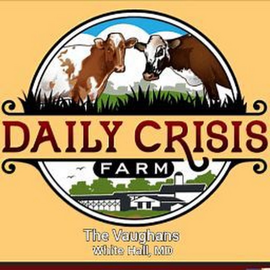 Daily Crisis Farm 