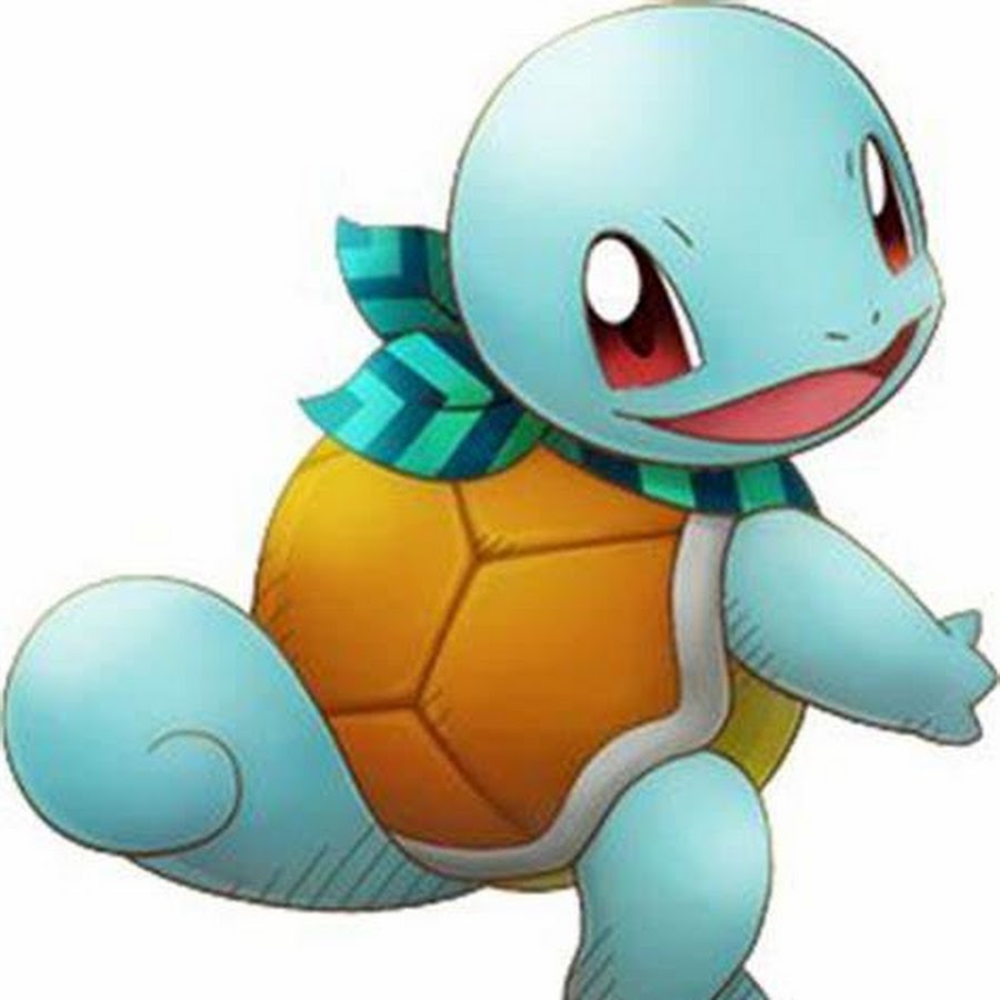 squirtle air force 1