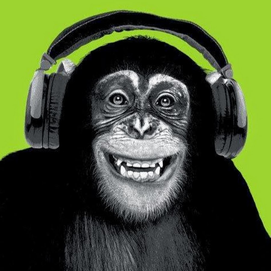 Funky Monkey Audio Lectures YouTube