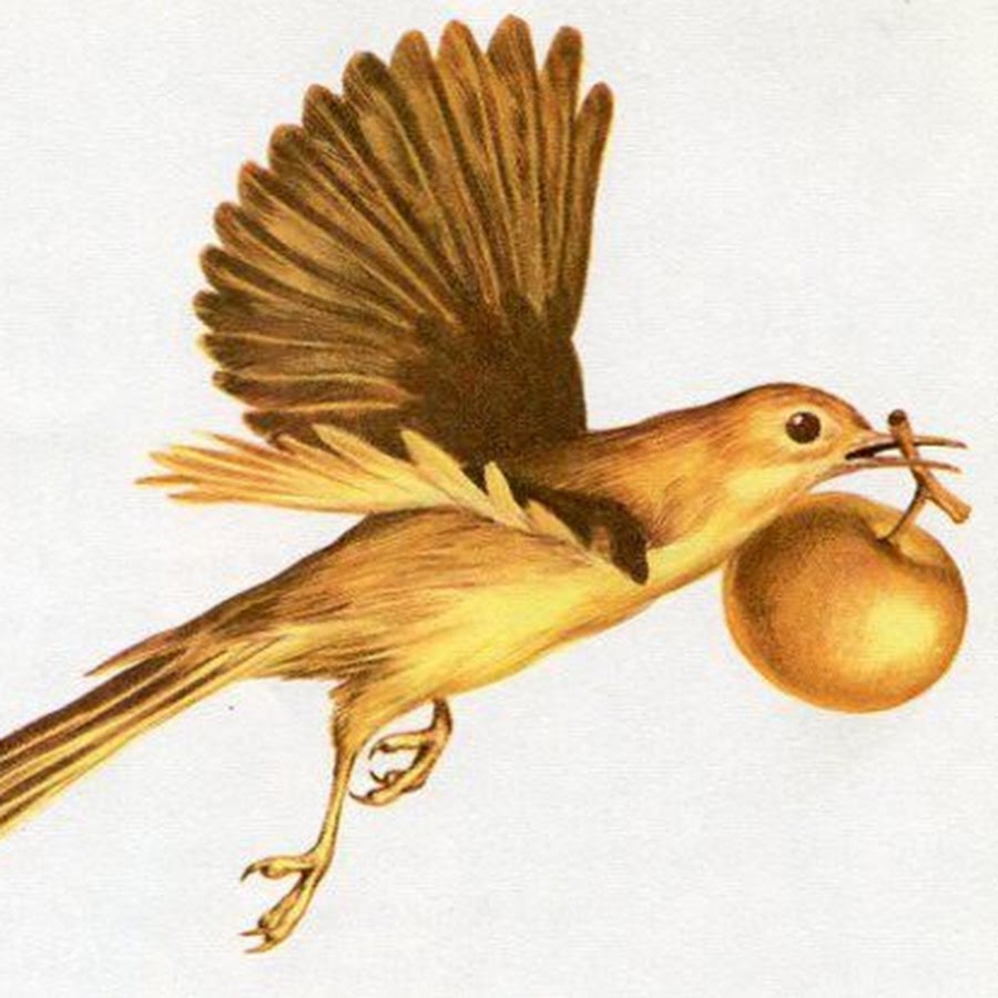 Золотые птицы 2. Золотая птичка. Наклейки золотые птицы. Древние золотые птички. Картина с золотыми птицами.