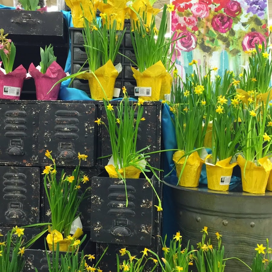 Ankeny Prairie Trail HyVee YouTube