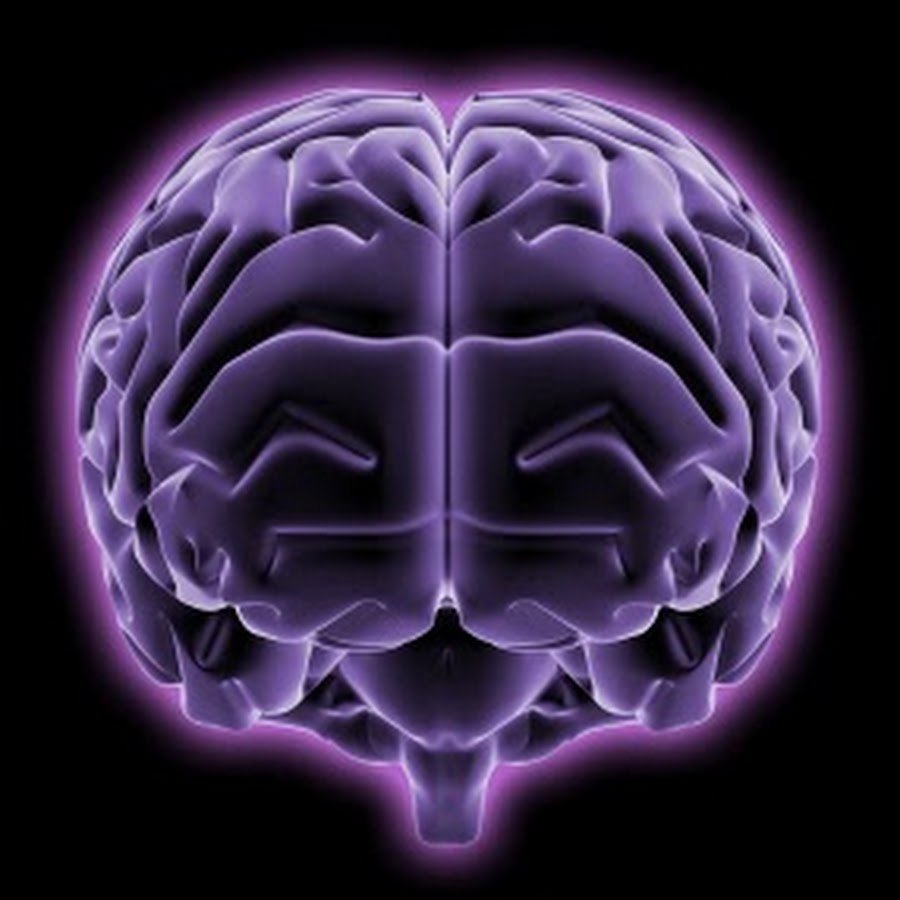 Brain age. Головоломка для мозга. Старение мозга. Головоломка мозг череп. Усилитель мозга головоломки.