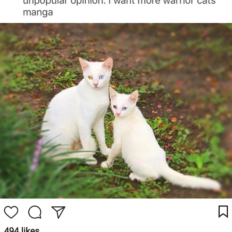 emo_kitten p YouTube