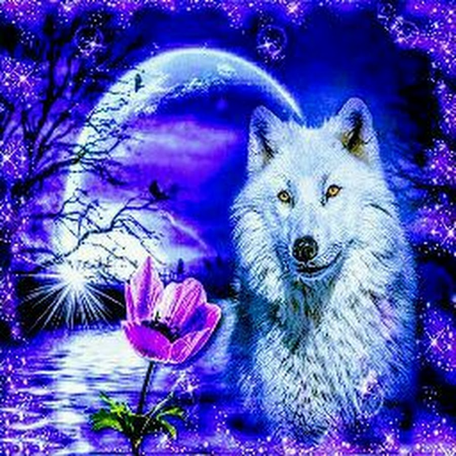 Алмазная мозаика с рисунком белого волка