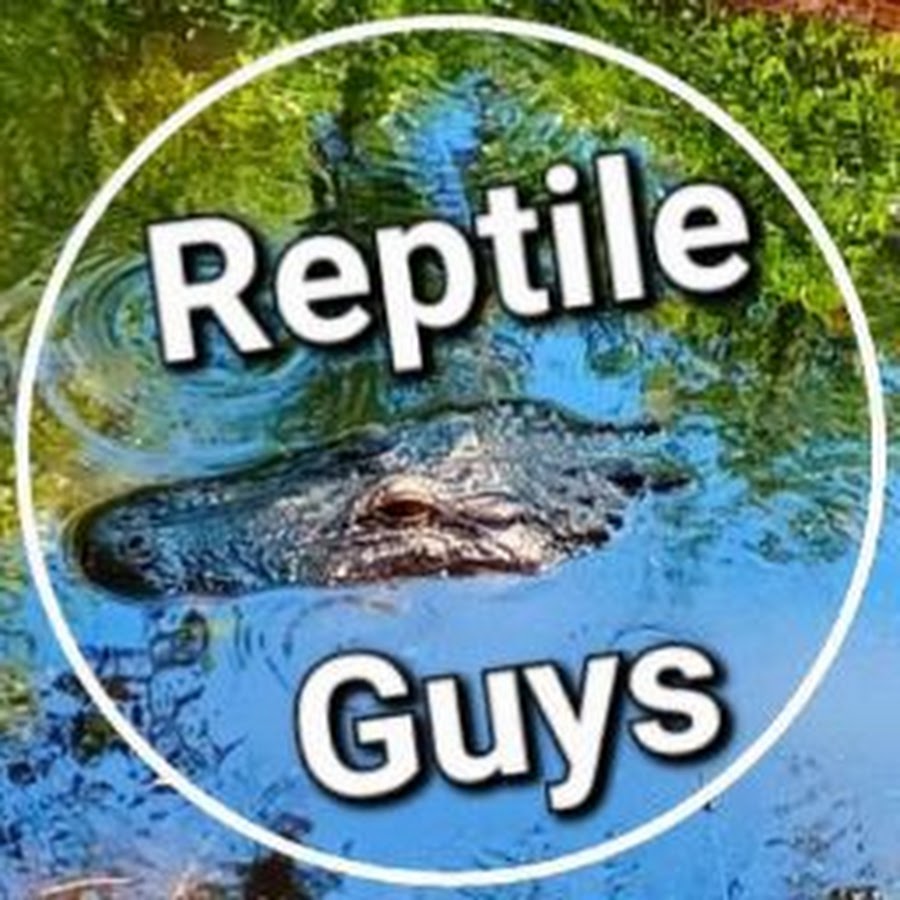 Reptile Guys YouTube