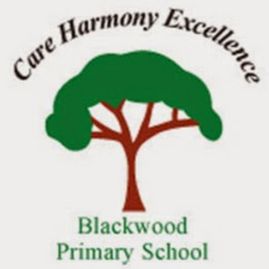 Blackwood Primary YouTube