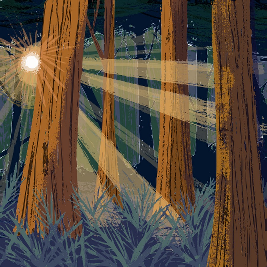 Gravy Cat man YouTube