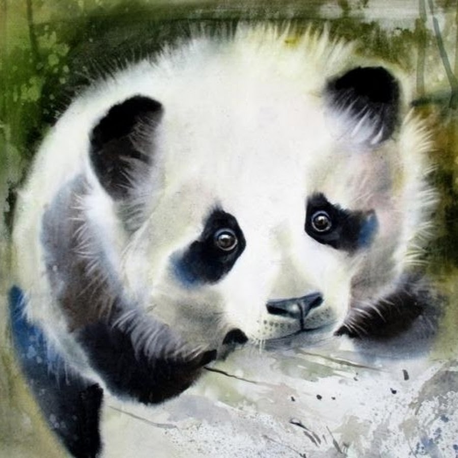 Пандочка блоггер. Панда пастелью. Панда акварелью. Панда картины художников. Животные гуашью.
