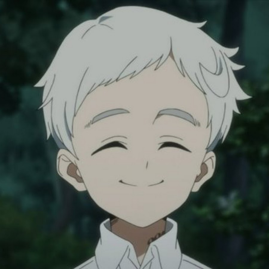 ノーマン YouTube