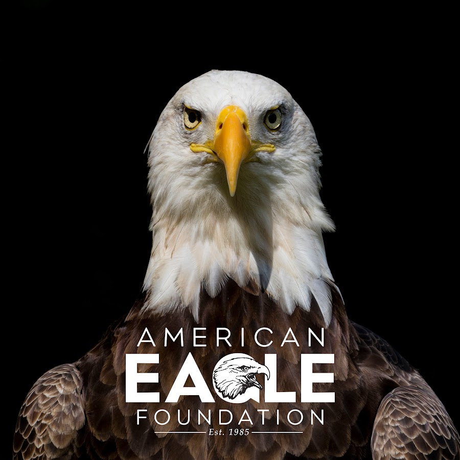 American Eagle Foundation 