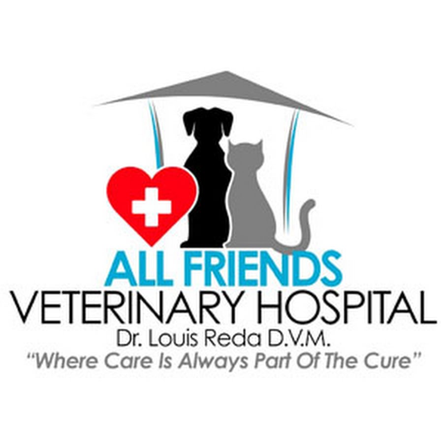 All Friends Veterinary Hospital YouTube