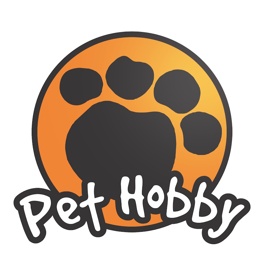 Хобби лого. Логотип Hobby. Pet Hobby. Pet Hobby дом.