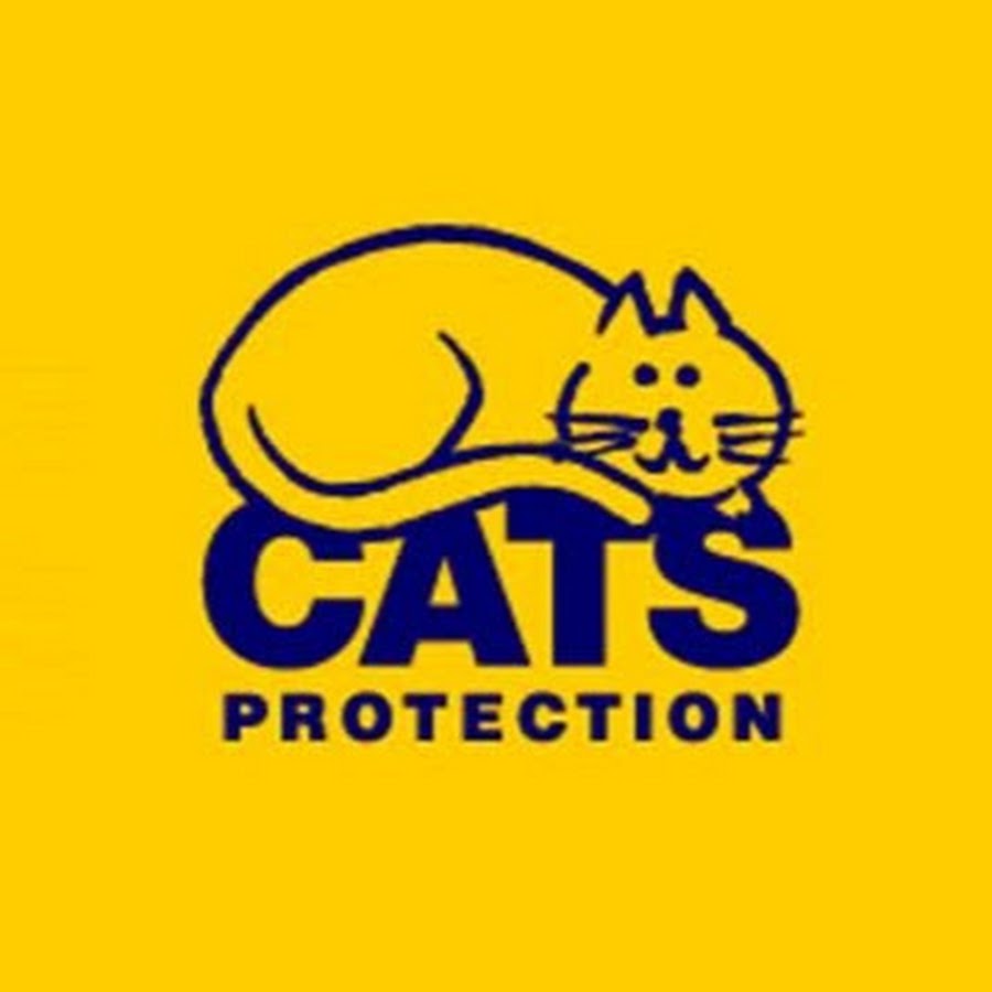 Bromley Cats Protection YouTube