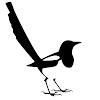 Luis Cbsc