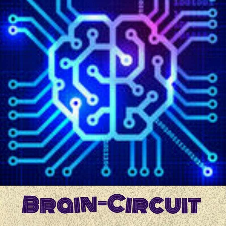 BrainCircuit YouTube